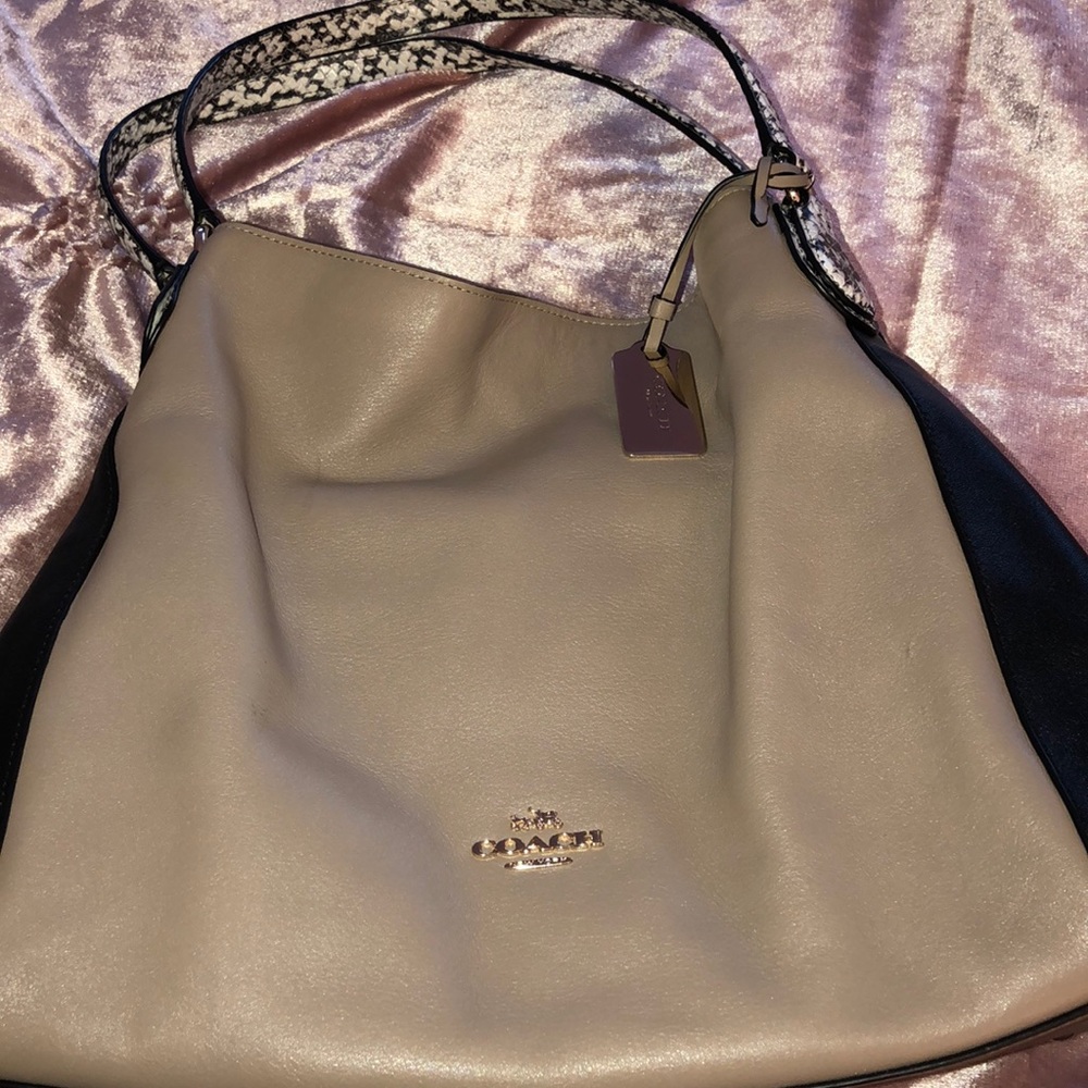 Coach bag *final price *